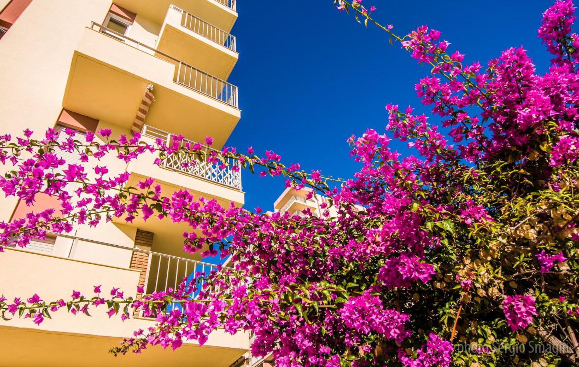 908 Minerva Apartamentos - Vistas Al Mar - Piscina Y Playa Benalmádena Exteriér fotografie